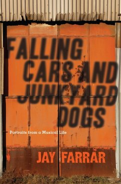 Cover Falling Cars and Junkyard Dogs (eBook, ePUB)