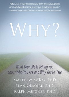 Why? (eBook, PDF) - Mckay, Matthew; Olaoire, Sean; Metzner, Ralph