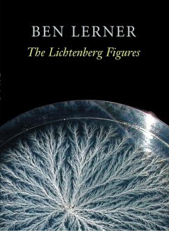 Cover The Lichtenberg Figures (eBook, ePUB)