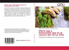 Vibrio spp y Salmonella spp en la cuenca del río La Villa - Ortiz Nuñez, Rogelio Omar;De La Cruz, Alexis