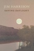 Saving Daylight (eBook, ePUB)
