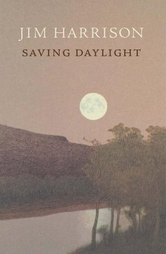 Saving Daylight (eBook, ePUB) - Harrison, Jim
