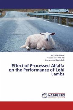 Effect of Processed Alfalfa on the Performance of Lohi Lambs