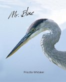 Mr. Blue (eBook, ePUB) Mr. Blue (eBook, ePUB)