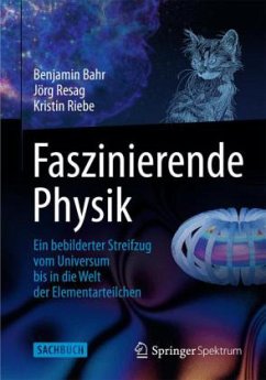 Faszinierende Physik - Bahr, Benjamin;Resag, Jörg;Riebe, Kristin