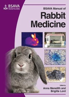 BSAVA Manual of Rabbit Medicine - Meredith, Anna; Lord, Brigitte