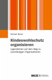 Kindeswohlschutz organisieren (eBook, PDF)