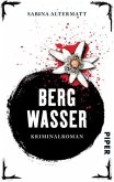 Bergwasser / Schweiz-Krimi Bd.2