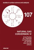 Natural Gas Conversion IV (eBook, PDF)