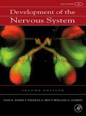 Development of the Nervous System (eBook, PDF)