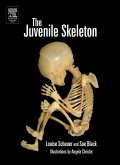 The Juvenile Skeleton (eBook, PDF)