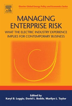 Cover Managing Enterprise Risk: What the Electric Industry Experience Implies for Contemporary Business (eBook, PDF)