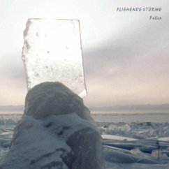 Fallen (Reissue) - Fliehende Stuerme