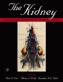 The Kidney (eBook, ePUB)