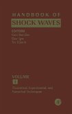 Handbook of Shock Waves, Three Volume Set (eBook, ePUB)