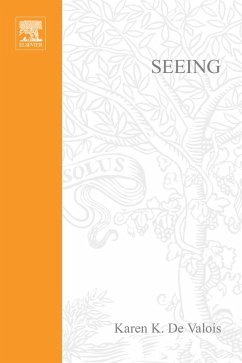 Seeing (eBook, PDF)