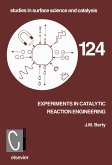 Experiments in Catalytic Reaction Engineering (eBook, PDF)
