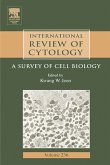 International Review of Cytology (eBook, PDF)
