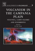 Volcanism in the Campania Plain (eBook, PDF)
