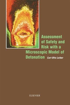 Assessment of Safety and Risk with a Microscopic Model of Detonation (eBook, ePUB) - Leiber, C. -O.