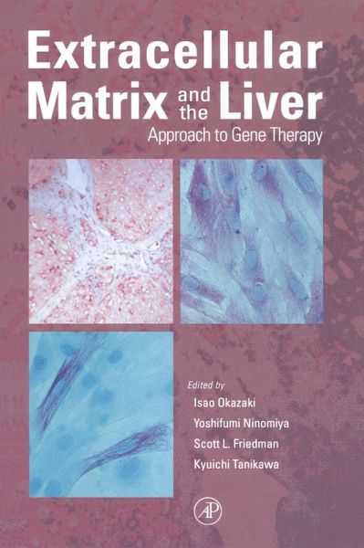 Extracellular Matrix and The Liver (eBook, PDF)