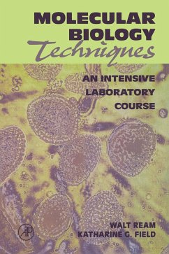 Molecular Biology Techniques (eBook, PDF) - Ream, Walt; Field, Katharine G.