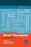 Effective Brief Therapies (eBook, PDF)