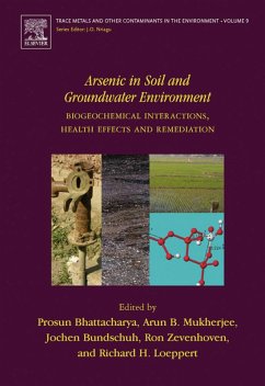 Cover Arsenic in Soil and Groundwater Environment (eBook, PDF)