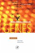 Immunoglobulin Genes (eBook, PDF) - Bild 1