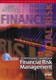 Professional's Handbook of Financial Risk Management (eBook, PDF)