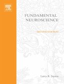 Fundamental Neuroscience (eBook, PDF)