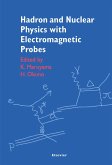 Hadron and Nuclear Physics with Electromagnetic Probes (eBook, PDF)