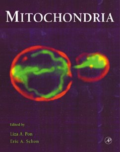 Mitochondria (eBook, PDF)