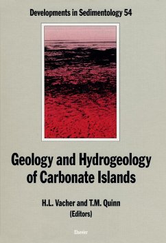Cover Geology and hydrogeology of carbonate islands (eBook, PDF)