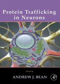 Protein Trafficking in Neurons (eBook, ePUB)