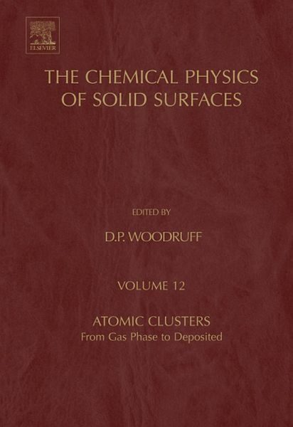 Atomic Clusters (eBook, PDF)