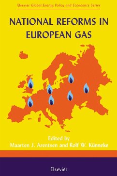 National Reforms in European Gas (eBook, PDF) Cover National Reforms in European Gas (eBook, PDF)