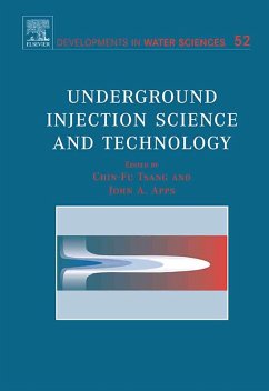 Cover Underground Injection Science and Technology (eBook, PDF)