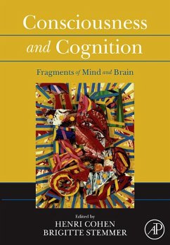 Consciousness and Cognition (eBook, ePUB)