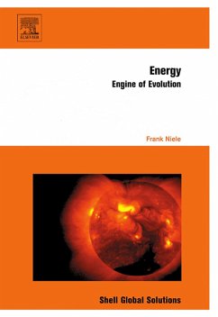 Energy (eBook, PDF) - Niele, Frank