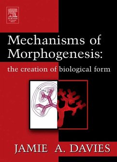 Mechanisms of Morphogenesis (eBook, PDF) - Davies, Jamie