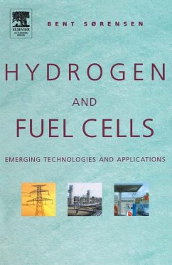 Cover Hydrogen and Fuel Cells (eBook, PDF)
