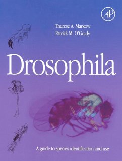 Cover Drosophila (eBook, ePUB)