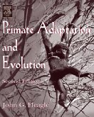 Primate Adaptation and Evolution (eBook, PDF)