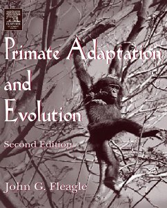 Cover Primate Adaptation and Evolution (eBook, PDF)