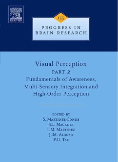 Visual Perception Part 2 (eBook, PDF)