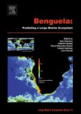 Benguela: Predicting a Large Marine Ecosystem (eBook, PDF)