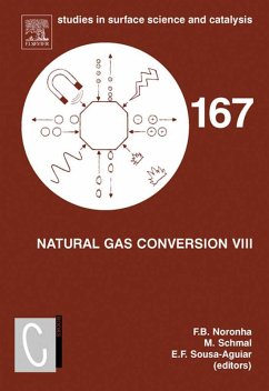 Cover Natural Gas Conversion VIII (eBook, PDF)