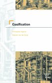 Gasification (eBook, PDF)