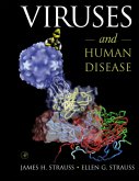 Viruses and Human Disease (eBook, PDF)